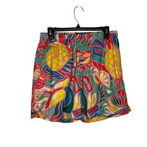 Kenny Flowers Multicolor Toucan Bird Pineapple Tropical Swim Trunks